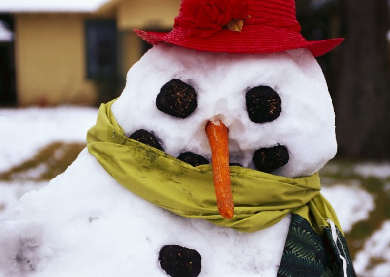 Žena nazvala policiju zbog krađe snjegovića
