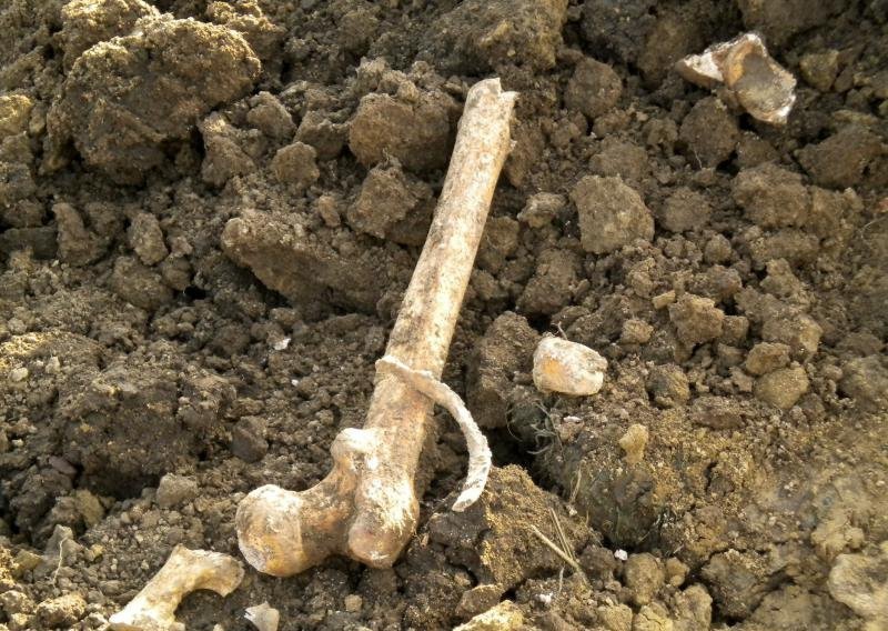 Pronađene kosti nisu iz razdoblja Domovinskog rata