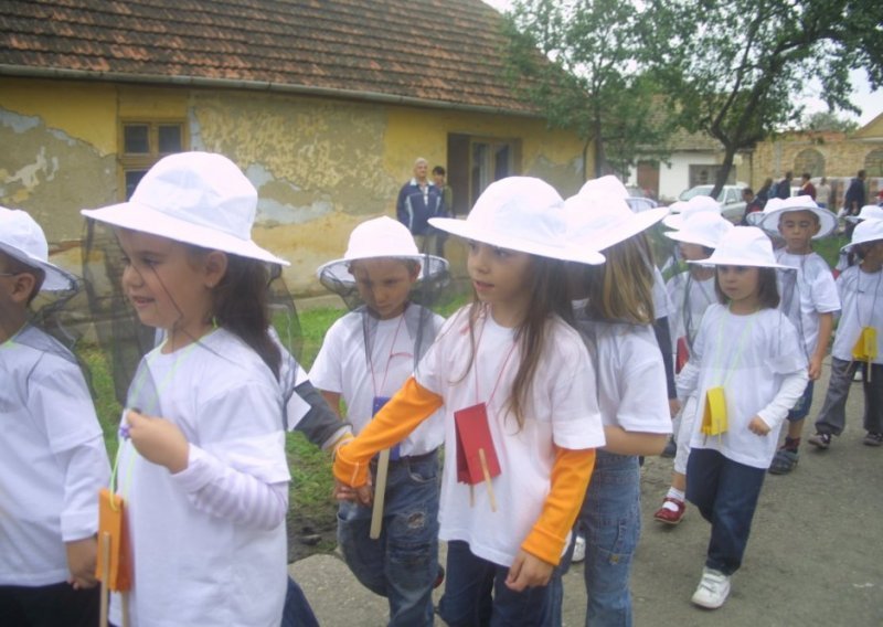 Vojvođanski pčelari izvozom povisili cijene meda