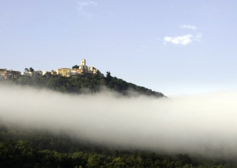 Motovun film festival na webu