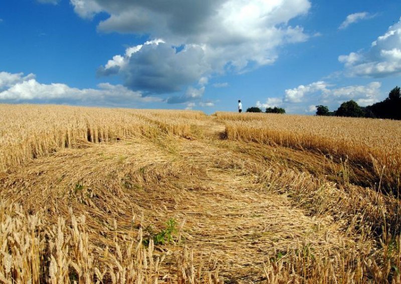 Misteriozni krugovi u žitu kod Sv. Martina na Muri