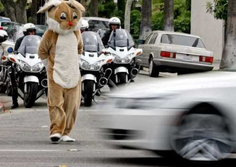 Policija kažnjavala vozače koji su ignorirali zeca na zebri