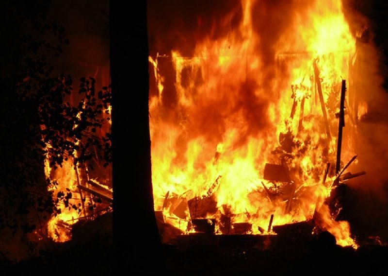 Požari poharali 24.000 hektara šuma, s njima se bori 5000 vatrogasaca