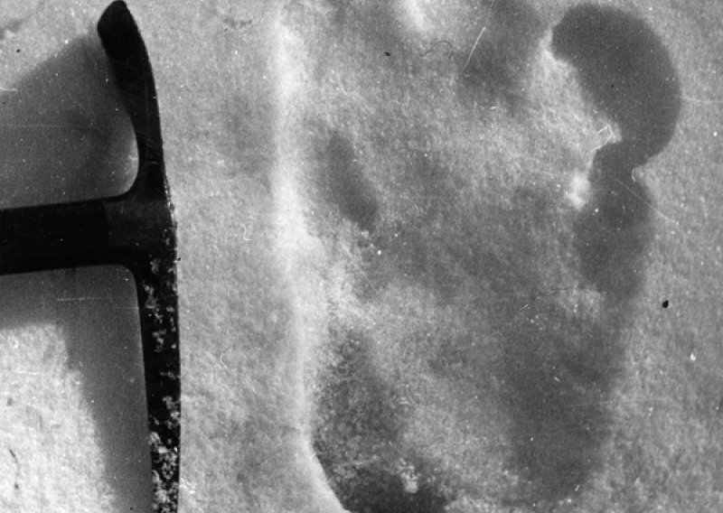 Bigfoot viđen u Maineu?