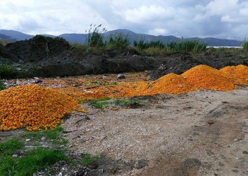 Za odbačene mandarine odgovorni otkupljivači?