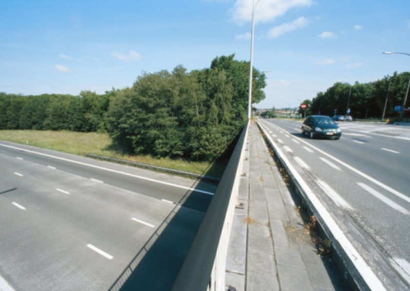 Svinjska gripa u Beograd stigla preko Zagreba