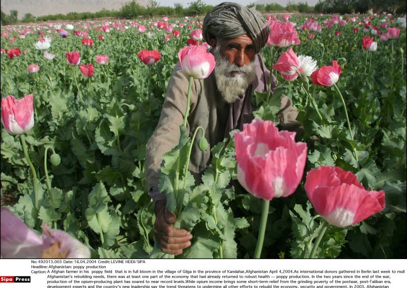 UN: Smanjuju se nasadi maka u Afganistanu