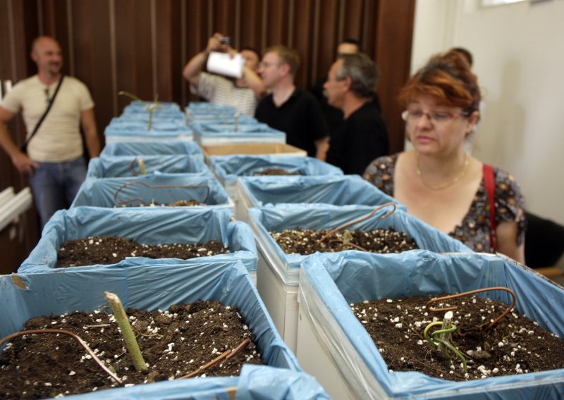 Laboratorij za uzgoj marihuane u Varaždinu