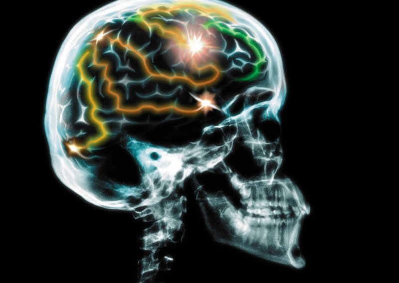Umjetni mozak će biti stvoren za deset godina