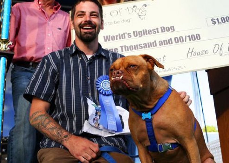 Mješanac boksera izabran za najružnijeg psa