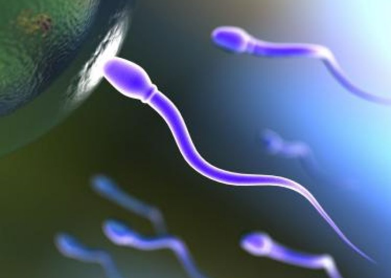 Broj spermija kod spolno zrelih muškaraca drastično pada, a znanstvenici ne znaju zašto