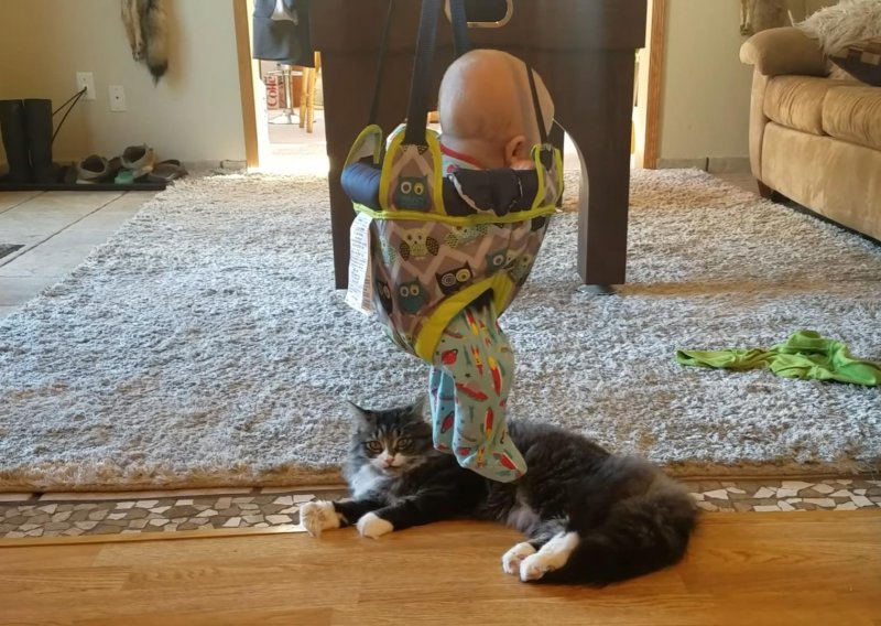 Tko bi rekao da će se mačka ovoliko veseliti novoj igrački?
