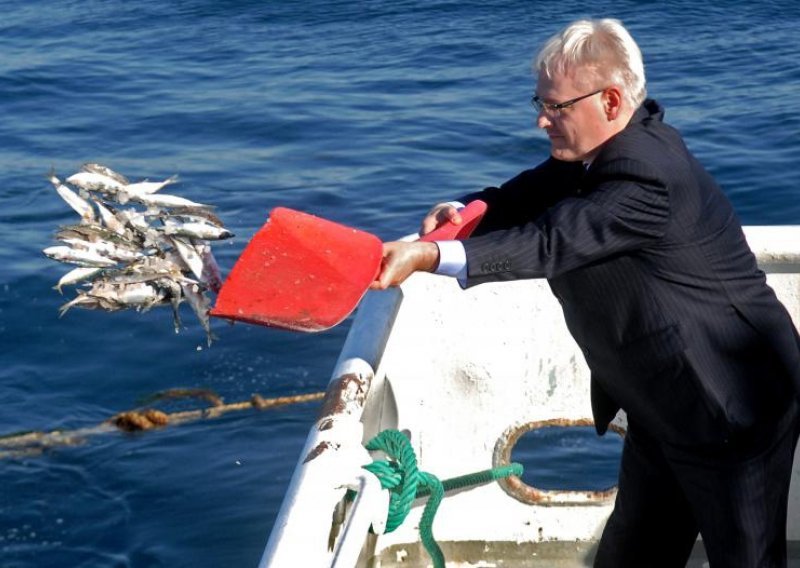 Josipović pisao o nafti u Jadranu za Financial Times
