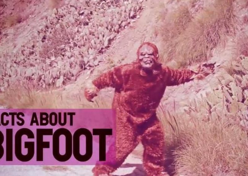 Nakon ovog videa zapitat ćete se postoji li Bigfoot