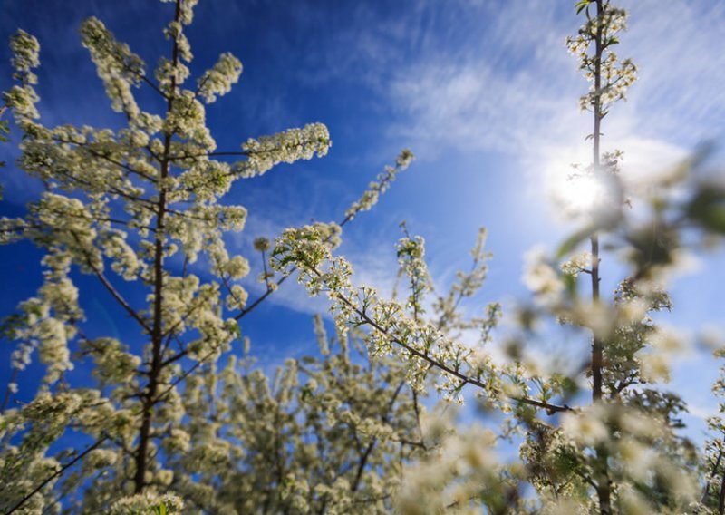 Stiže osvježenje, pa opet sunce i divan vikend