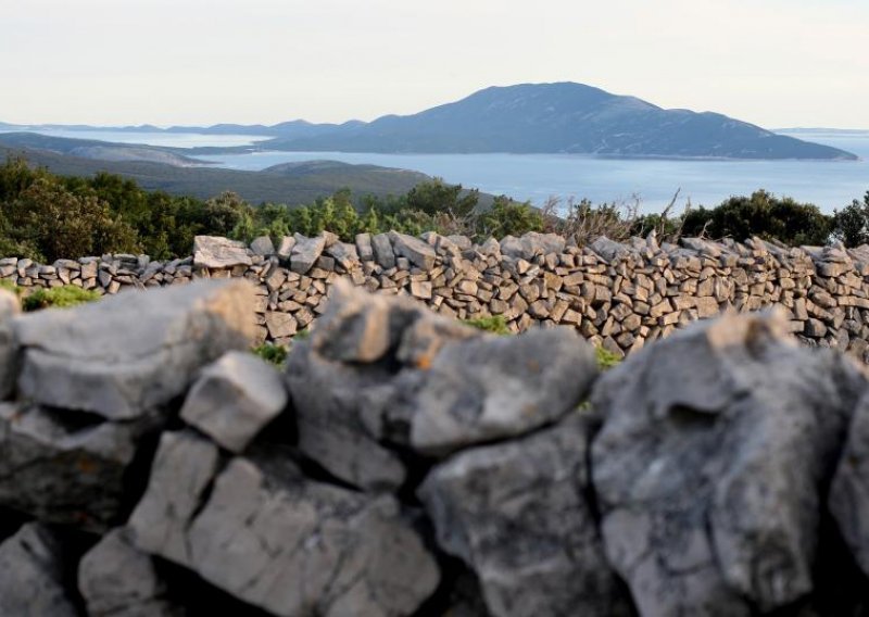 Evo čime se bave hrvatski argonauti