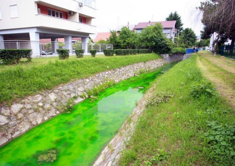 Čudna pojava na zagrebačkoj Kustošiji