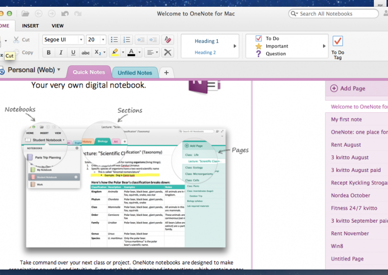 Microsoftov OneNote popularniji od OS X Mavericksa