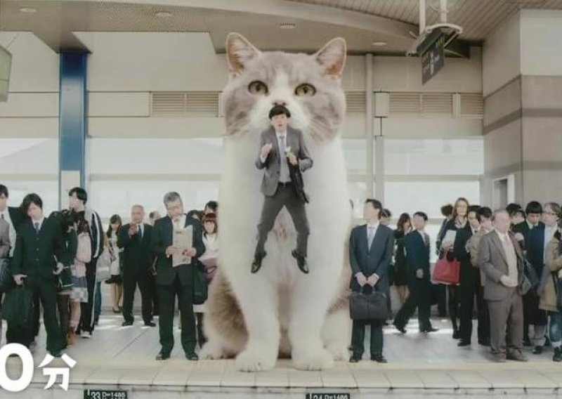 Divovske mačke napadaju, ali samo u Japanu...