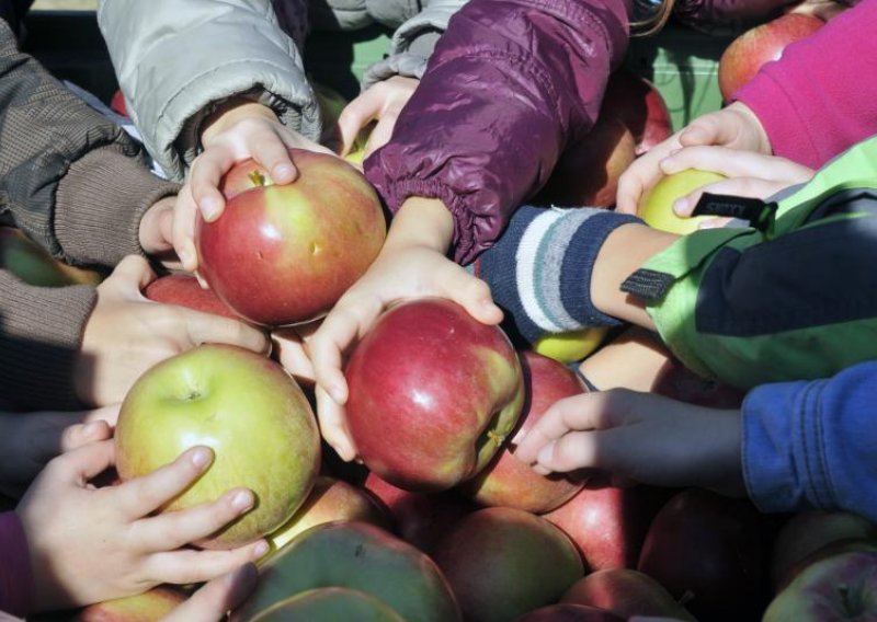 Strategija Ministarstva poljoprivrede za više voća, povrća i mlijeka u školskim kantinama