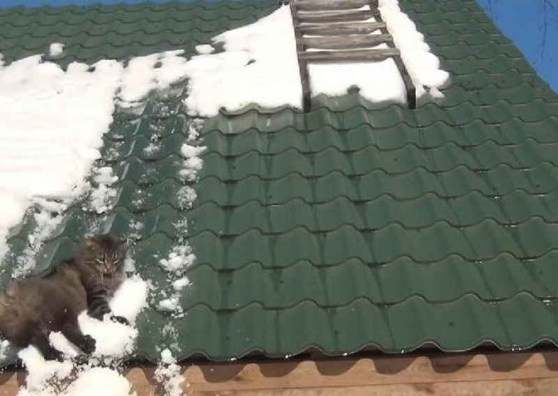 Maca se precijenila pa zviznula s krova
