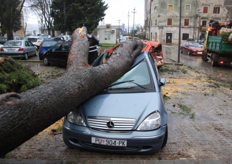 Dvanaestmetarski bor uništio šest automobila