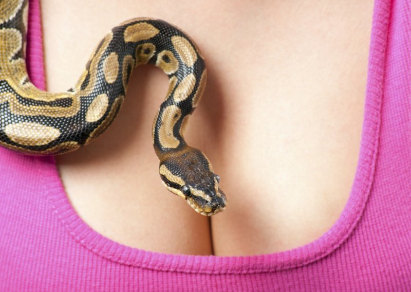 Činjenice o zmijama koje će vas doista prestraviti