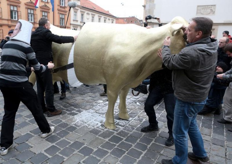 Velika zlatna krava razrezana na šnicle pred Vladom