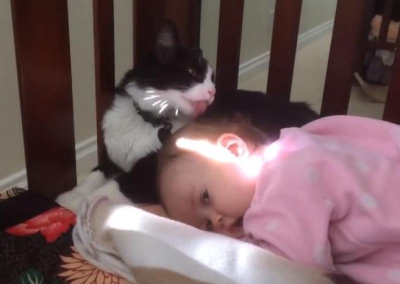 Mačka oblizala dijete kao da je njena beba