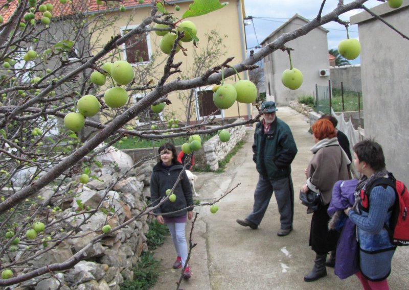 Uzbuna među poljoprivrednicima, klimatolozi suzdržani