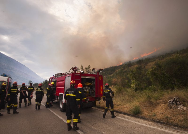 U Žrnovnici gori borova šuma