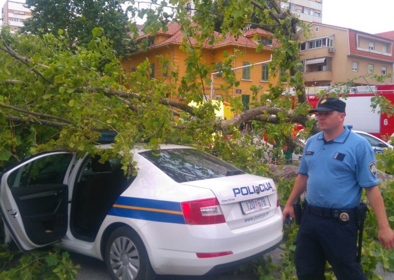 Ogromno drvo zdrobilo policijski automobil usred Splita