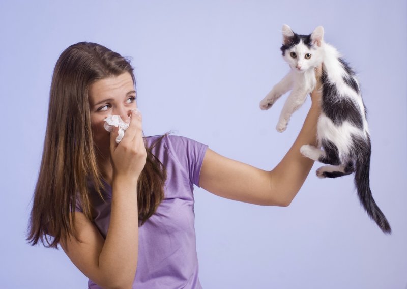 Može li se kontrolirati alergija na mačke?
