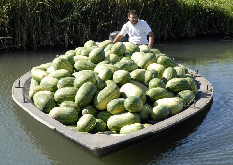 'Domaću lubenicu neće nitko ni za 50 lipa po kilogramu'