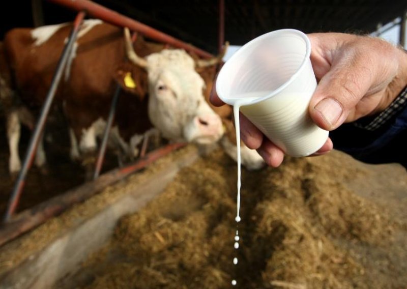 Proizvodnja mlijeka za piće pala 32 posto!