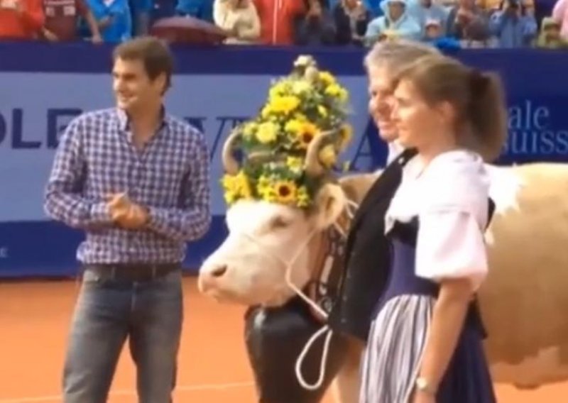 Federer za poklon dobio kravu Desiree