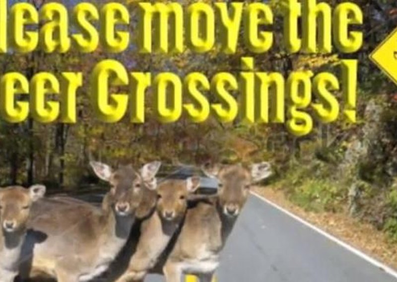 Zabrinuta žena misli da jeleni čitaju prometne znakove