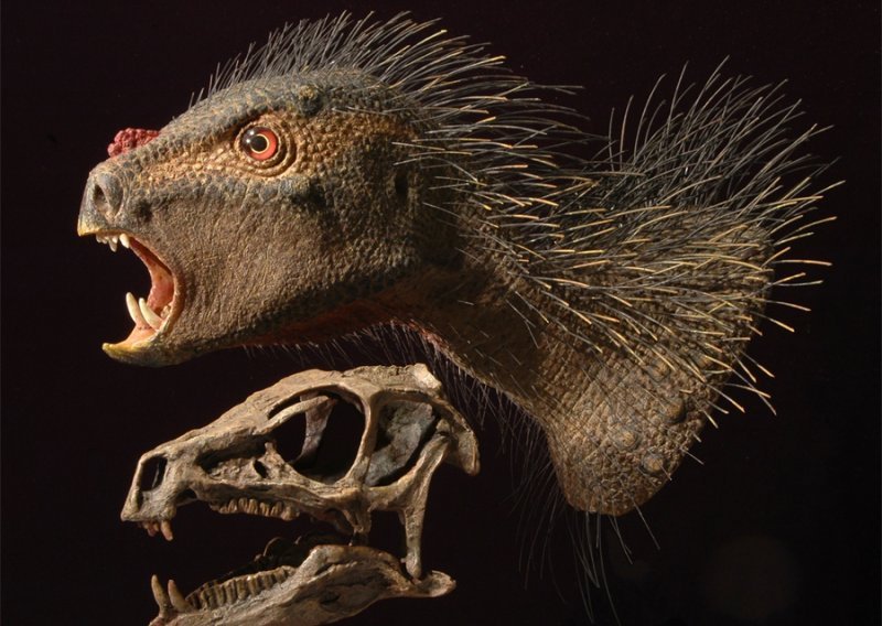 Dinosaur Drakula imao velike očnjake, kljun i čekinje