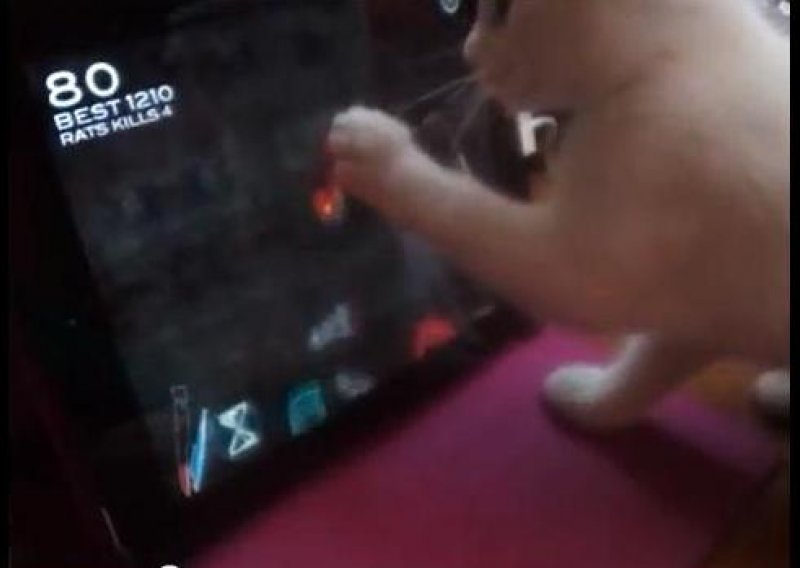 Maca rastura igru na iPadu