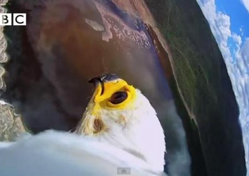Nevjerojatna snimka: Pogledajte svijet iz ptičje perspektive