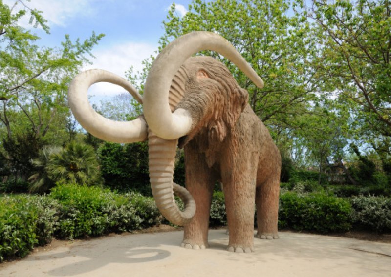 Znanstvenici pronašli način kako klonirati mamuta?