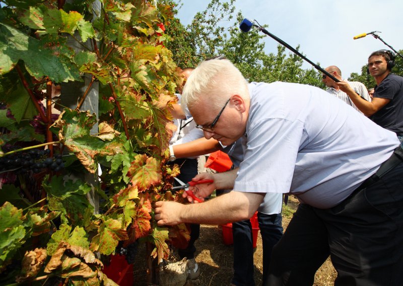 Josipović i 40 veleposlanika u 'Diplomatskoj berbi'