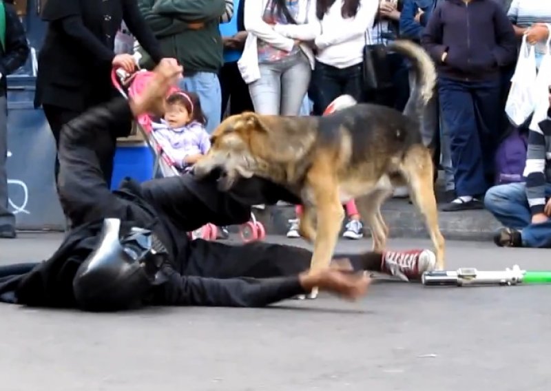 Pas se usred uličnog igrokaza okomio na Dartha Vadera