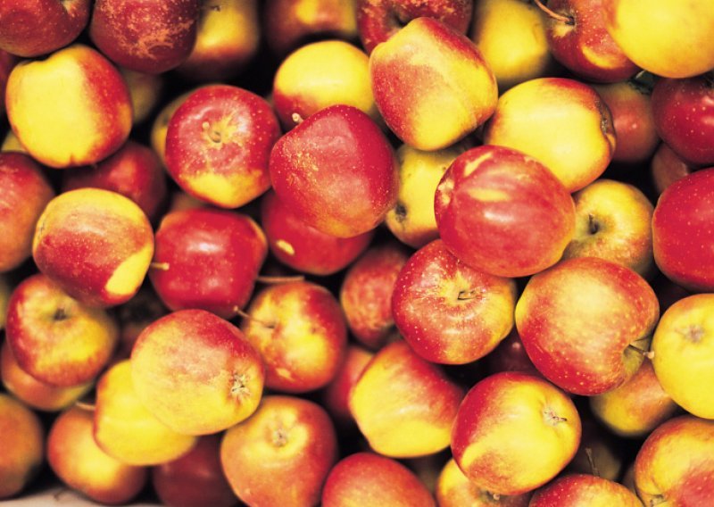 Najzdravije jabuke na svijetu stare su 800 godina