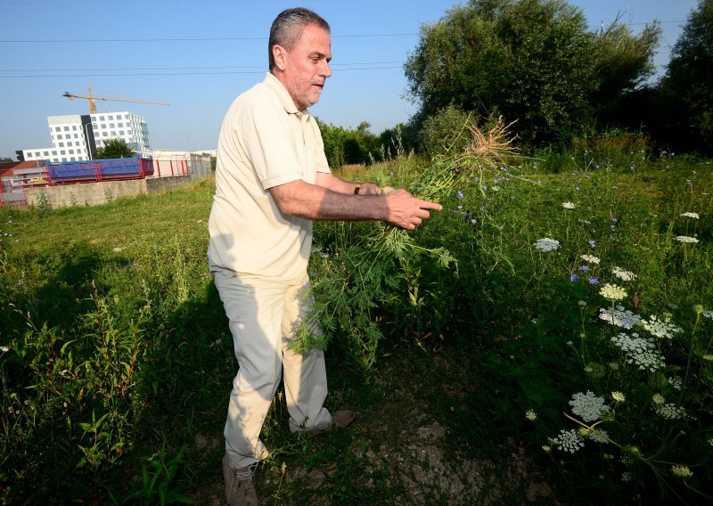 Bandić se uživio u kampanju pa zaboravio na jako bitnu stvar