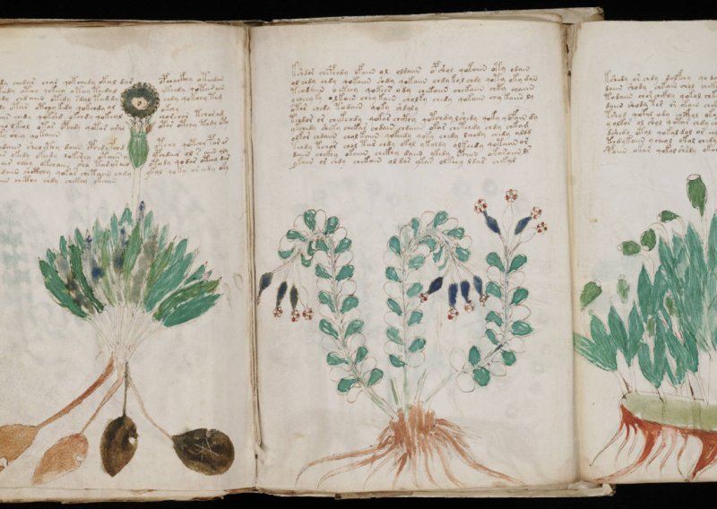 Misteriozni Vojnićev rukopis nakon šest stoljeća ide u tisak