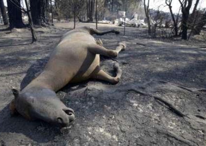 Više od 160 poginulih u požarima u Australiji