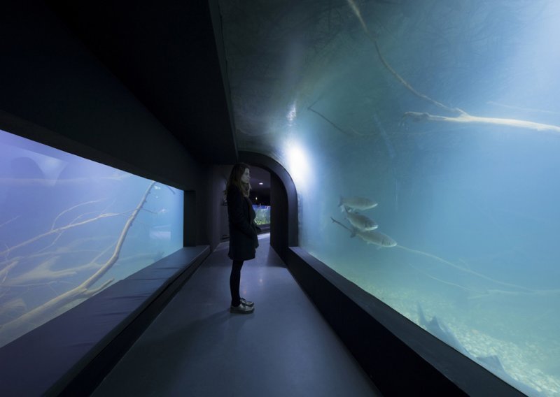 Projektu Karlovačkog slatkovodnog akvarija dvije prestižne nagrade