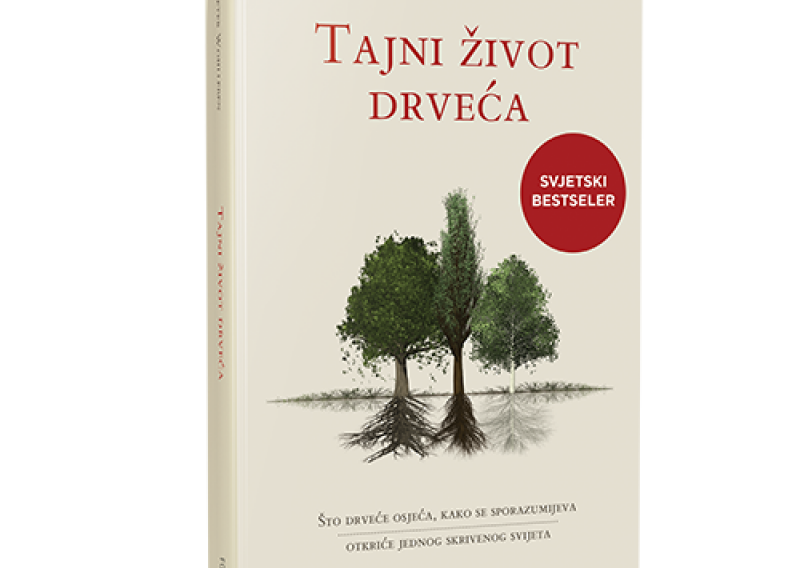 'Tajni život drveća' i 'Knjiga ogledala' noviteti u izdanju Fokusa