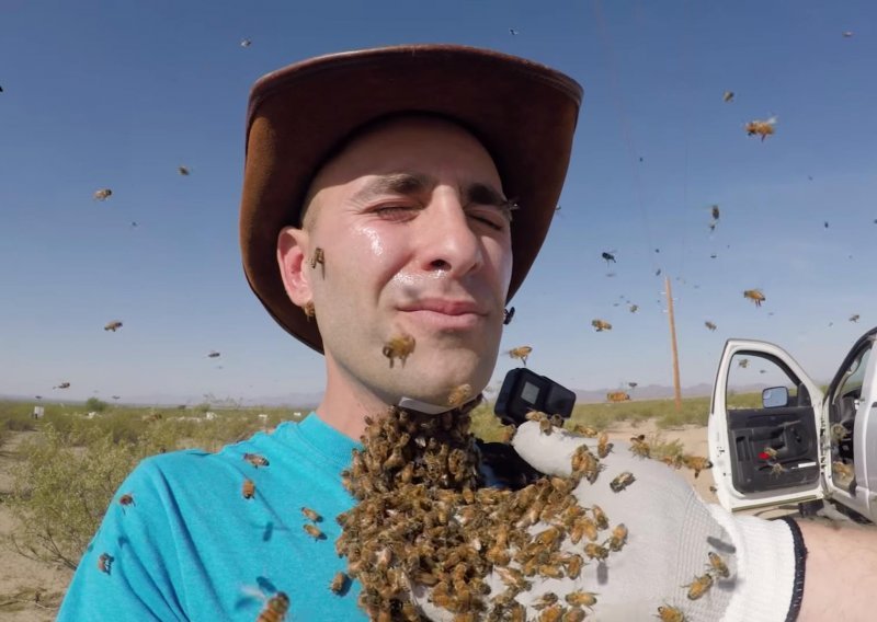 Ovako izgleda kad naljutite 3000 pčela